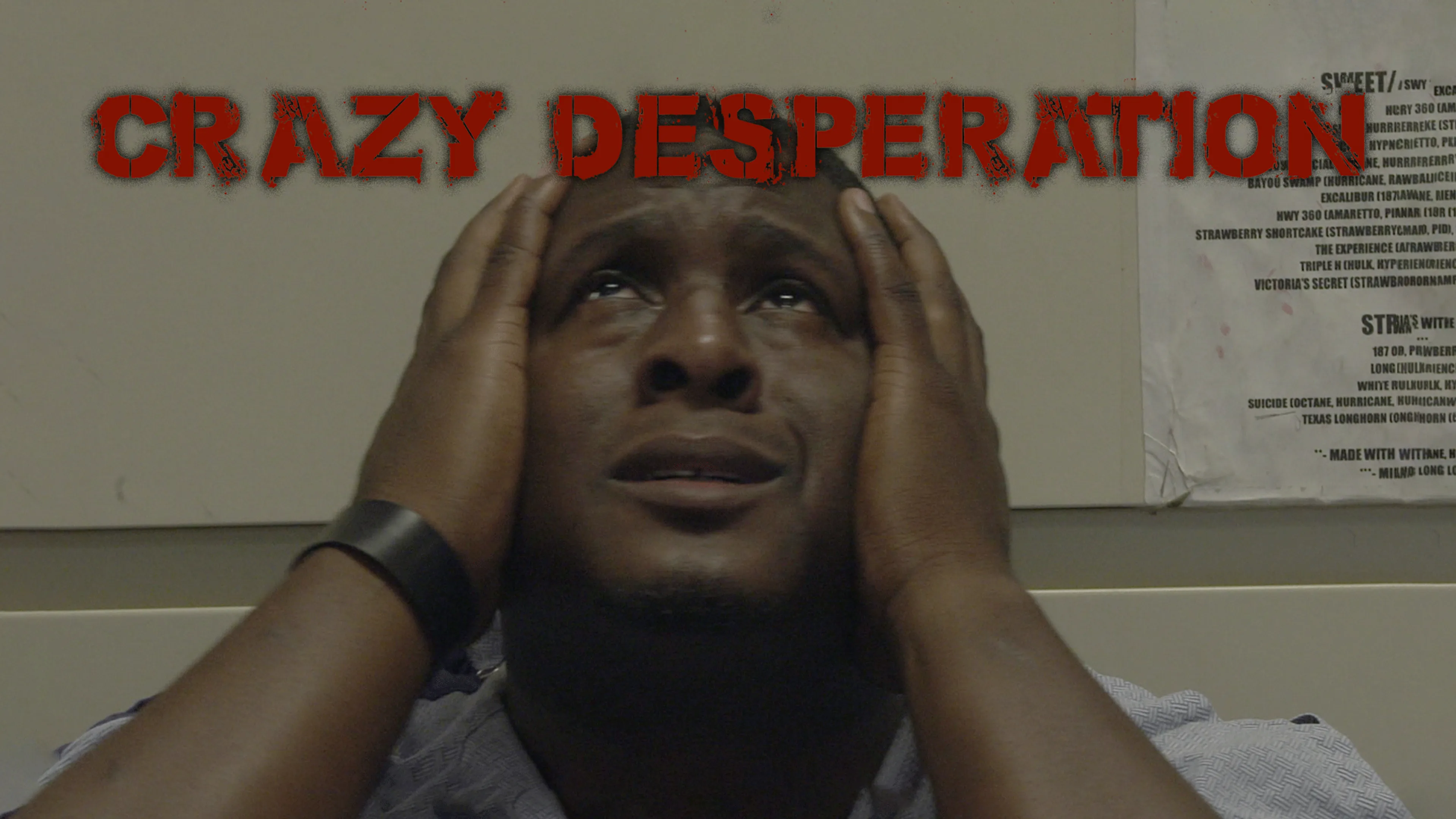 Crazy Desperation poster